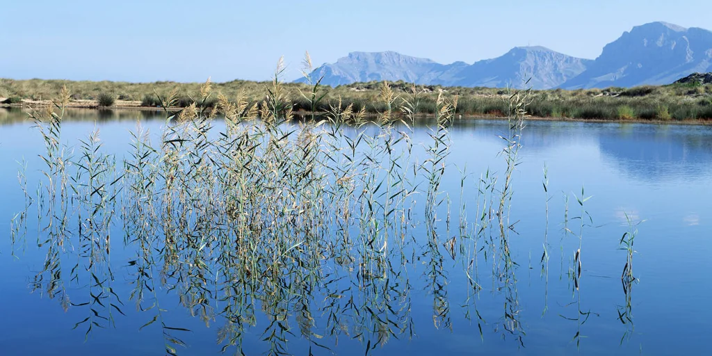 El ‘alma mediterránea’ del siglo XXI