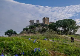 Los castillos de Andalucía mejor valorados por los viajeros según Tripadvisor: ¿en qué provincias se encuentran?