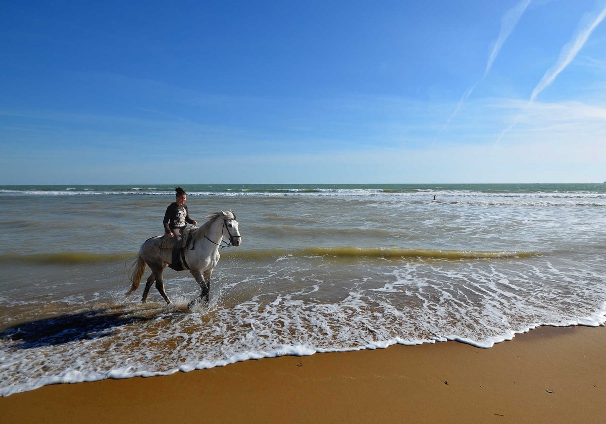 Ruta a caballo por las playas de Doñana al atardecer
