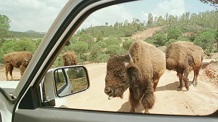 Reserva del Castillo de las Guardas