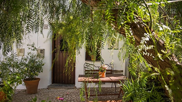 La Casa el Bosque Mágico se encuentra en la localidad de Alájar de la Sierra, uno de los rincones más bonitos de toda la Sierra de Aracena