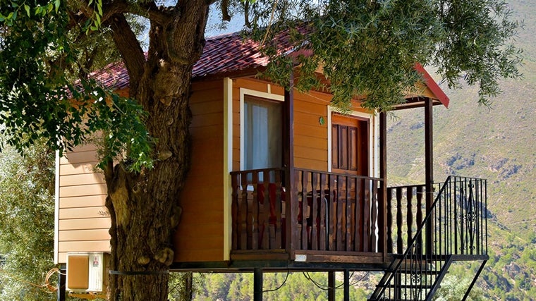 Casa del árbol en el Camping de Órgiva.