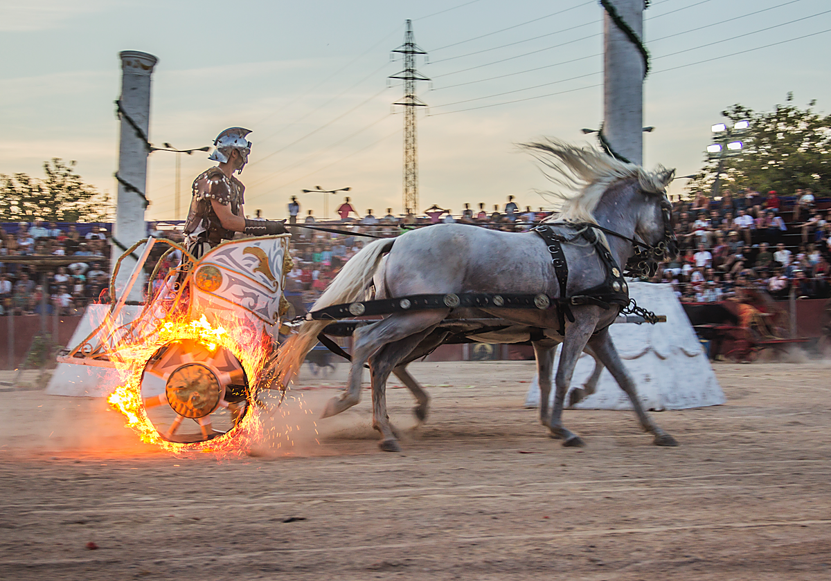 Imagen de ediciones anteriores de Gran Circus Maximus en Alcalá de Henares