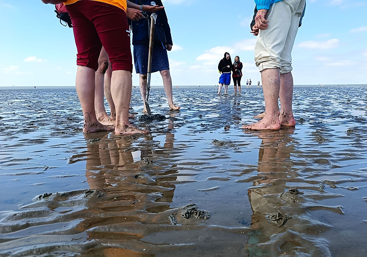 Un paseo por la llanura de marea más extensa del mundo, desde Büsum
