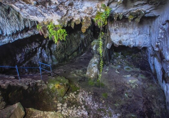 La cueva patrimonio de la humanidad que pueden visitar 30 personas al día
