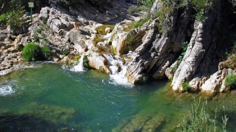 Arroyo de las Truchas