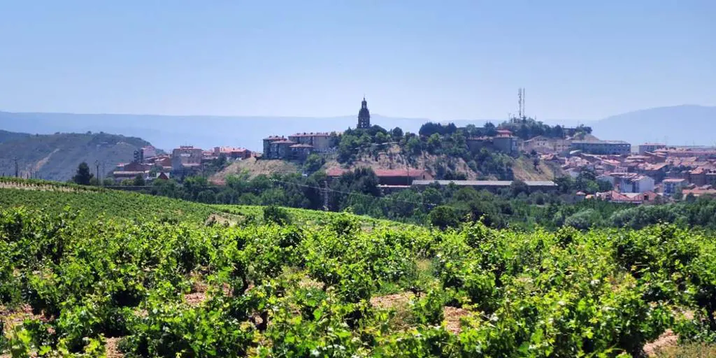 El pueblo de La Rioja rodeado de viñedos, bodegas de vino y palacios que es el destino ideal para las vacaciones