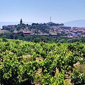 El pueblo de La Rioja rodeado de viñedos, bodegas de vino y palacios que puedes descubrir estas vacaciones