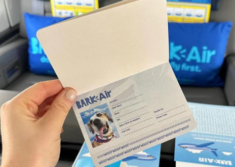 Imagen secundaria 1 - Pasaporte perruno de Bark Air, menú para perros de la aerolínea y azafato peludo de la aerolínea