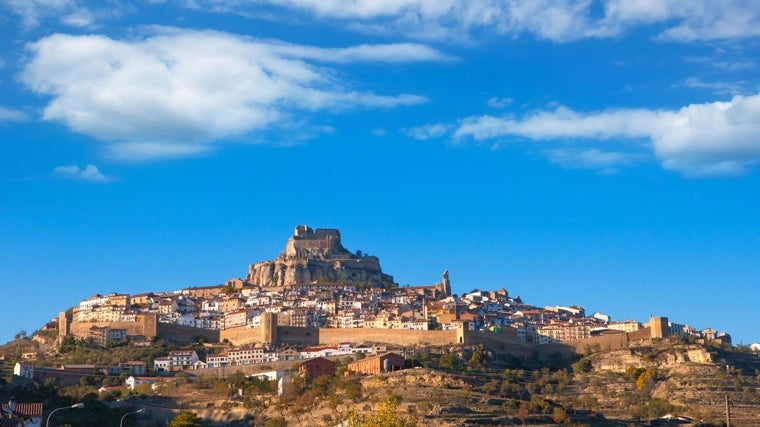 Morella