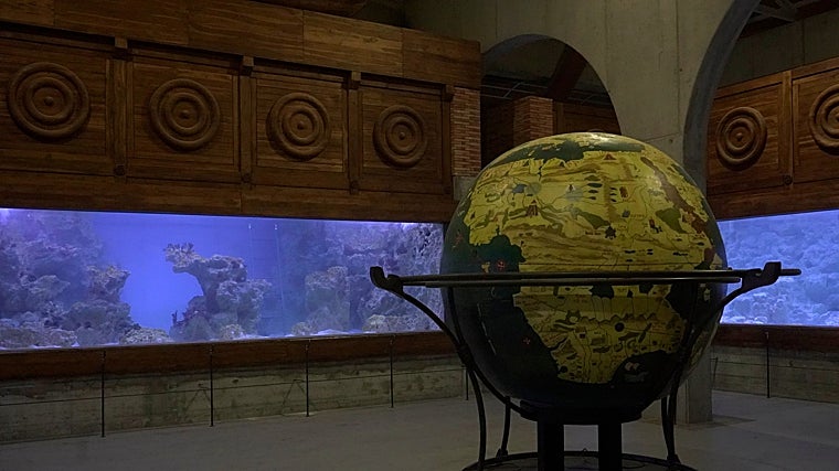 Acuarios de agua salada