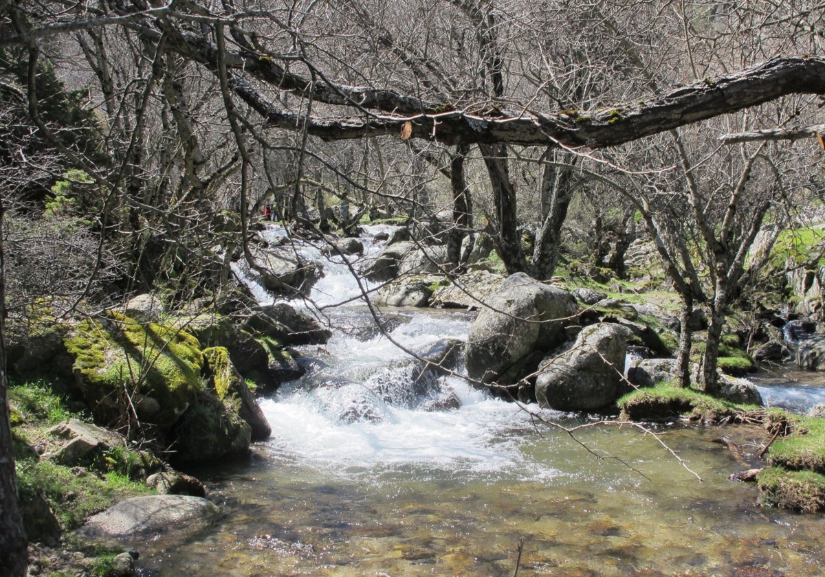 Agua abundante en la ruta que lleva hasta las cascadas del Purgatorio