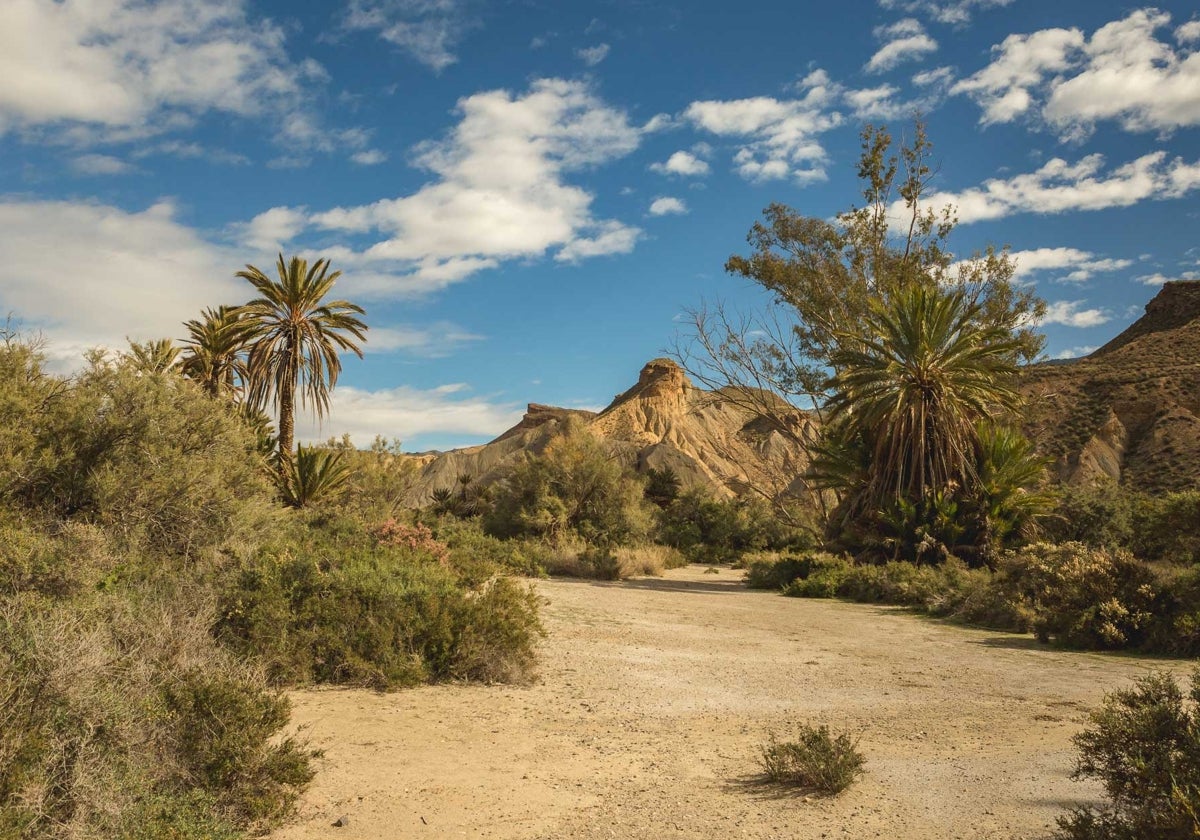 Imagen del conocido oasis de Lawrence de Arabia en Tabernas