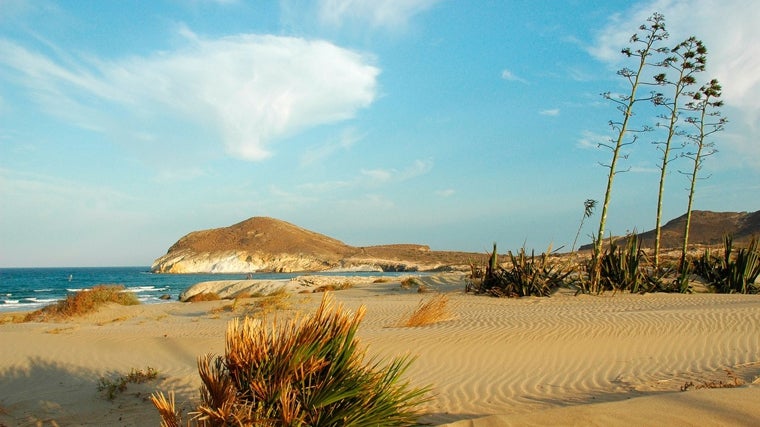 Playa de los Genoveses