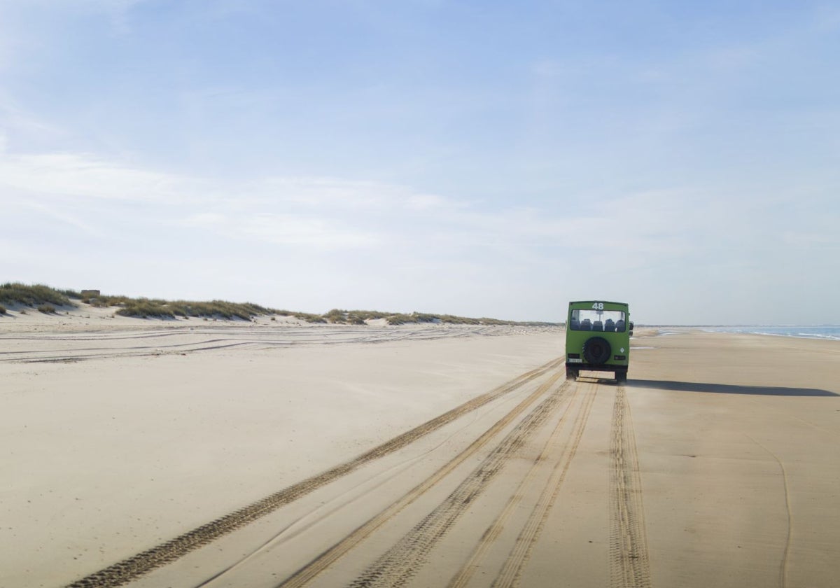 La playa que va de Matalascañas a la desembocadura del Guadalquivir forma parte de la ruta por el Parque Nacional de Doñana