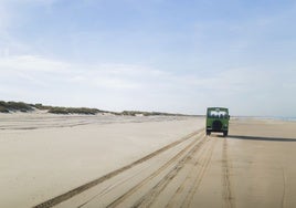 Las playas y marismas de una de las costas más salvajes y bonitas de España