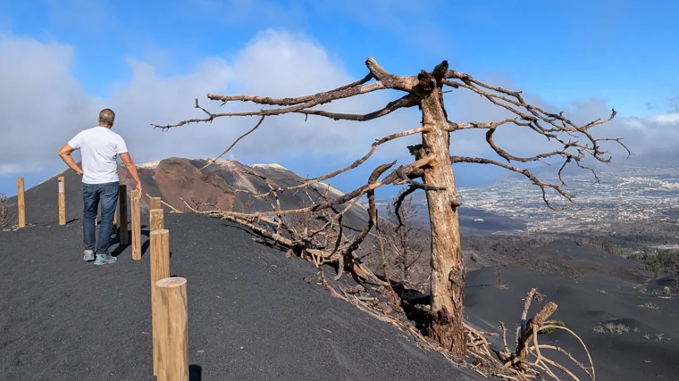 Jonás Pérez, propietario de Isla Bonita Tours, aún vive de alquiler, sin atreverse a regresar a su casa en Puerto Naos. En la foto observa el 'volcán nuevo' desde el mirador en el que termina la ruta de senderismo que solo pueden organizar las agencias locales