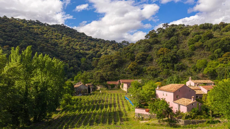 Bodegas Fábrica de Hojalata en Ronda