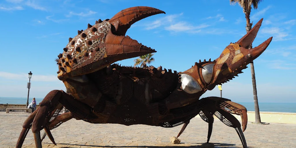 La playa de Cádiz en la que puedes encontrarte con estos dos cangrejos gigantes