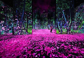 Los museos más curiosos, originales y divertidos de Madrid