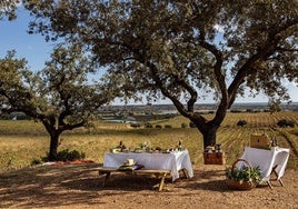 Viaje enoturístico al Alentejo, el paraíso portugués que muy pocos andaluces conocen