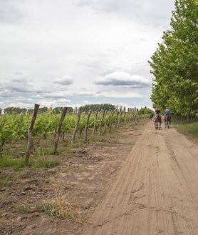 Imagen secundaria 2 - La bodega y el hotel boutique de Susana Balbo; paseos a caballo entre viñedos.