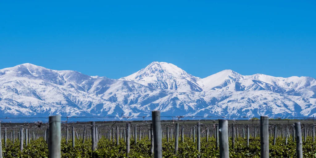 Mendoza, la soleada tierra del mejor vino argentino a los pies de los Andes