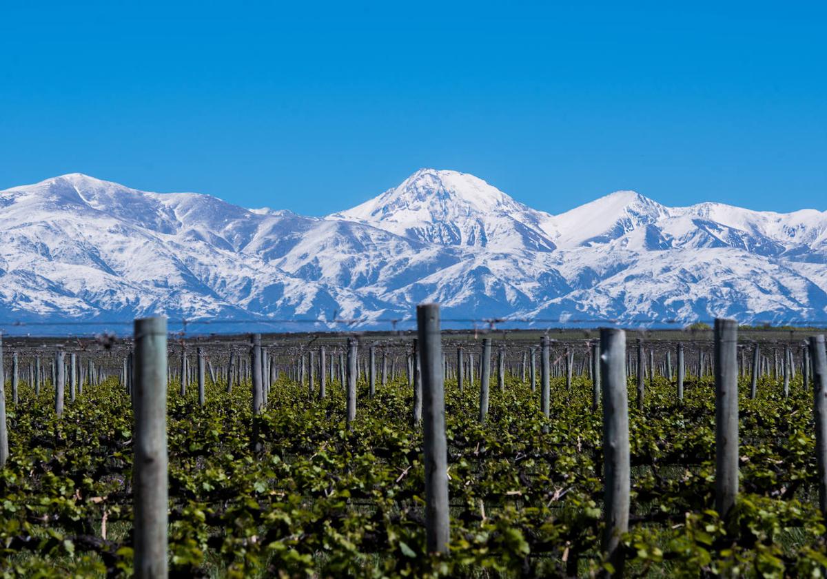 En Mendoza, los viñedos están al pie de la cordillera de los Andes. Sumado a ello, la arquitectura de las bodegas y los vinos de gran calidad constituyen un poderoso atractivo para el enoturismo