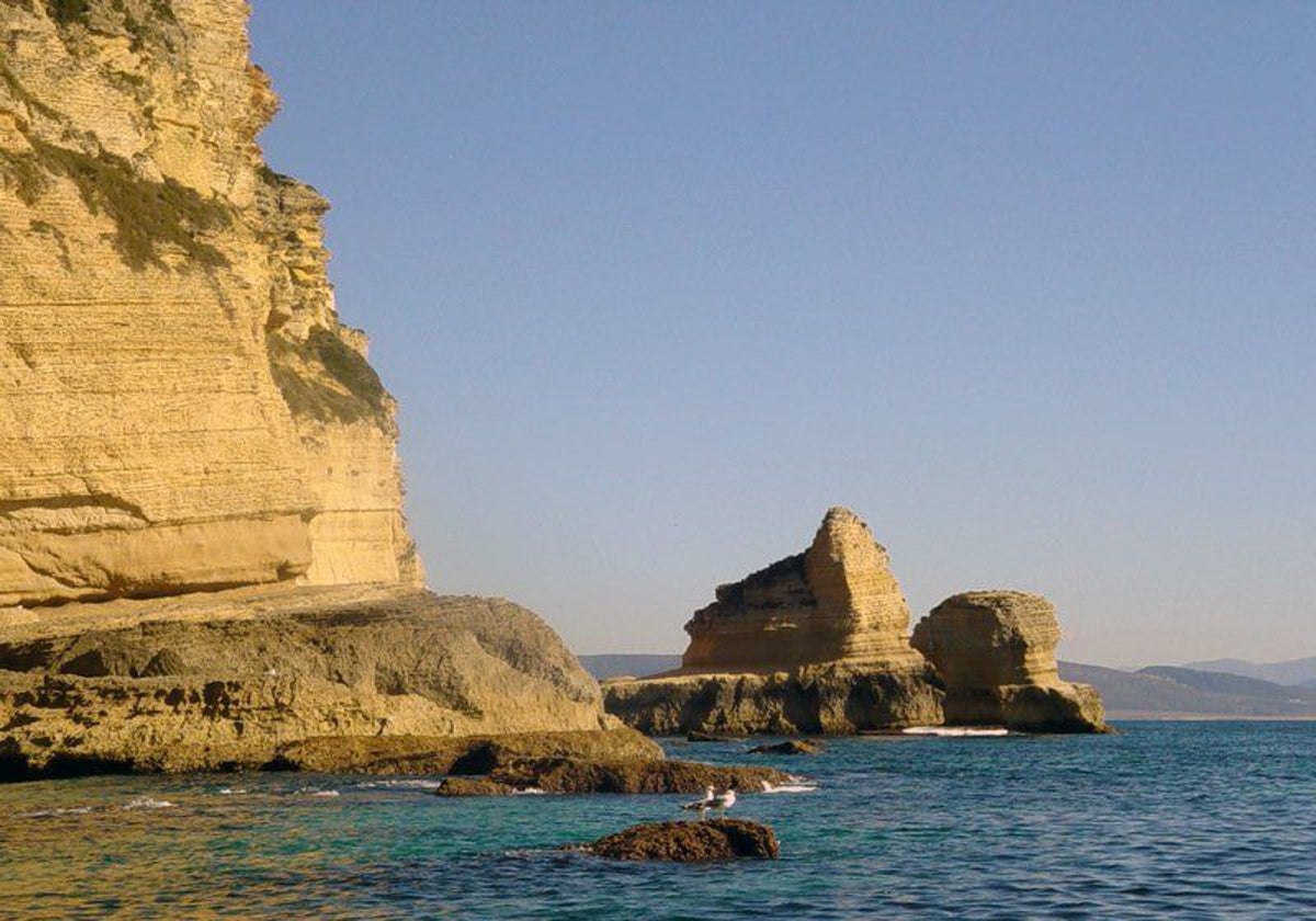 La Breña y Marismas de Barbate