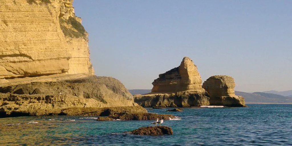 Uno de los acantilados más impresionantes de Andalucía está en Cádiz: más de 100 metros de alturas