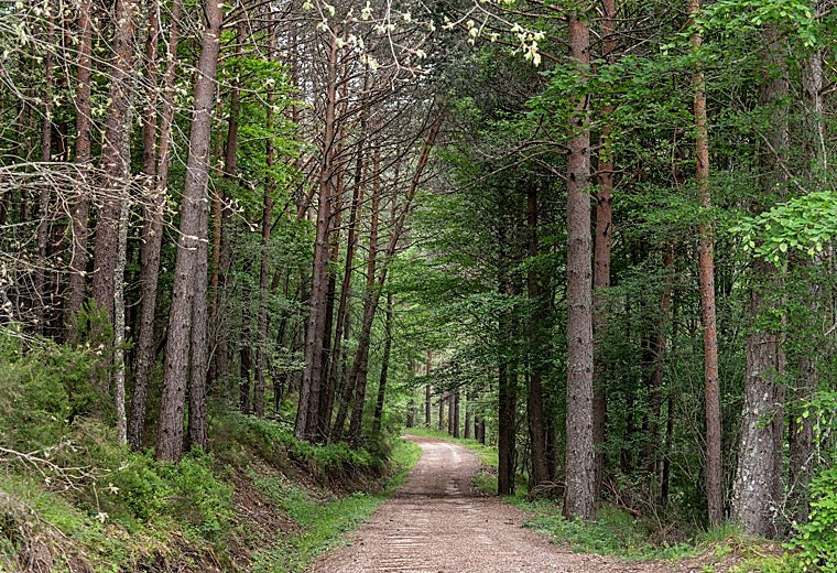 Sierra de la Demanda y Pinares: el paraíso de los amantes del senderismo y del cicloturismo
