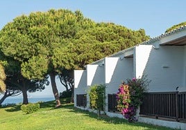 Más barato que nunca: las fechas para ir al Parador 4 estrellas que se esconde en Doñana