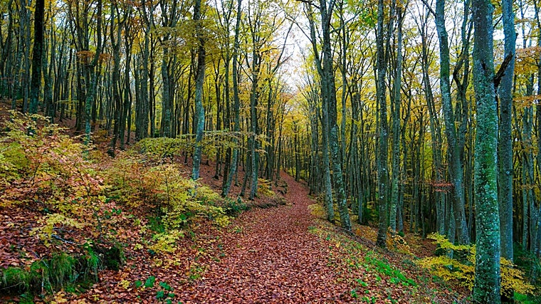 Ruta de otoño cerca de Anguiano y de Tobía, en La Rioja