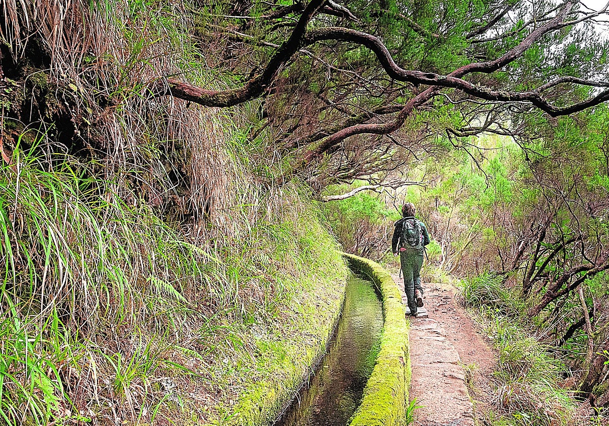 Un sendero junto a una levada en Madeira