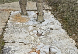 Ruta entre dos provincias donde los dinosaurios campan a sus anchas