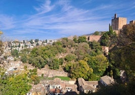 La torre de Andalucía a la que las solteras tienen que subir para encontrar novio está en Granada