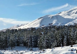 Imagen del volcán Etna donde se encuentra la estación de esquí Etna Nord