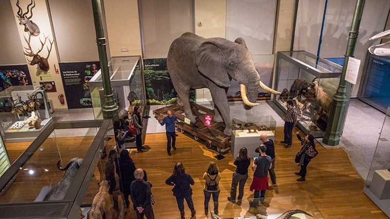 Museo Nacional de Ciencias Naturales