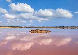 La Laguna Rosa, una atracción única en uno de los parajes más populares de la Costa Blanca