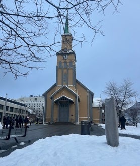 Imagen secundaria 2 - Fiordos de la isla de Senja (arriba). Carrilleras de skrei (abajo izquierda) y la Iglesia de Nuestra Señora de Tromso (catedral católica de la ciudad)