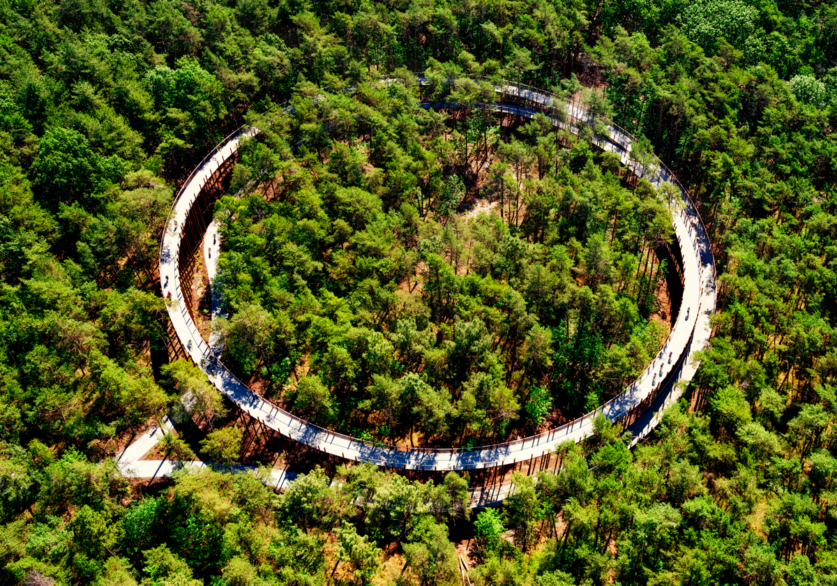 Así es la espectacular experiencia de 'Ciclismo entre los árboles' de Limburgo