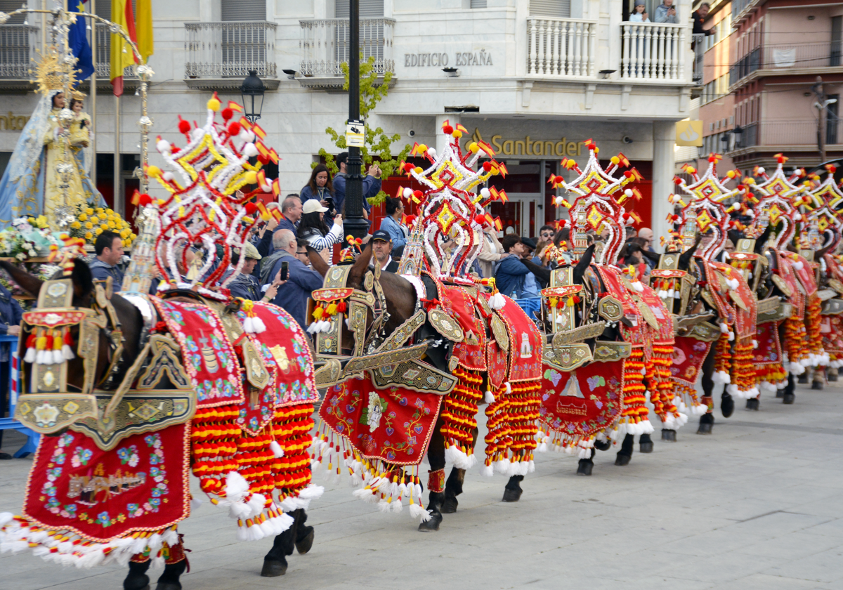 Mulas engalanadas en la Romería de Tomelloso