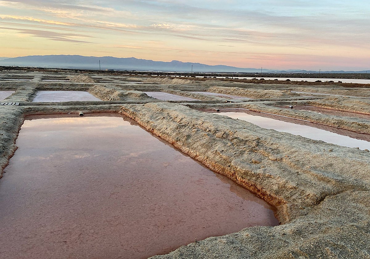 Las salinas rosas más sorprendentes de España: están en Andalucía y repleta de flamencos