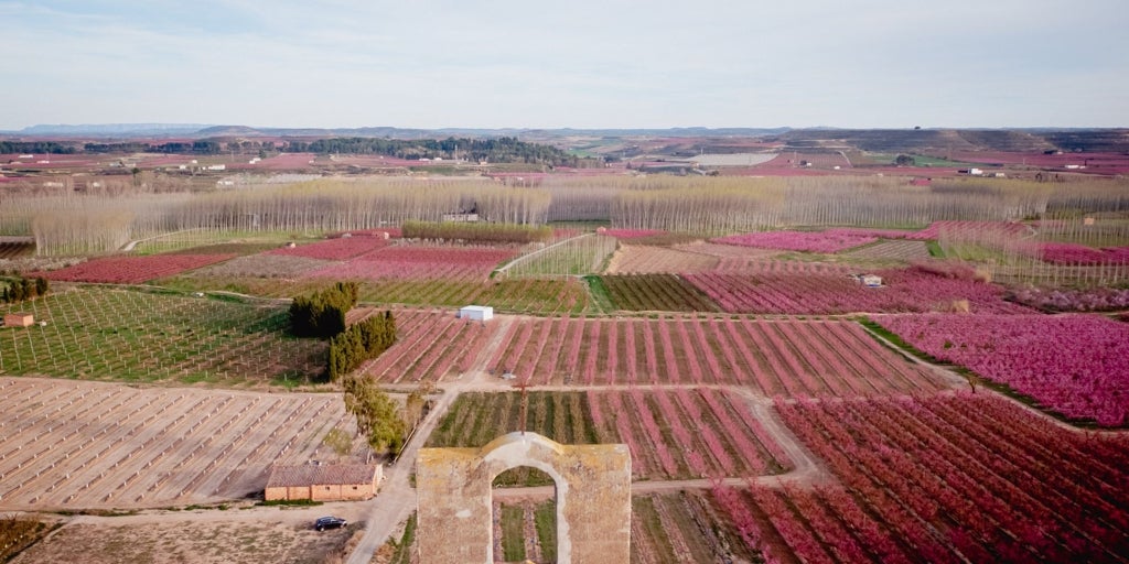 Aitona, cuna de santos y pueblo al que los melocotoneros tiñen de rosa en primavera