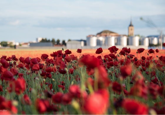 'El Mar Rojo de la Mancha': el sorprendente fenómeno natural en un pueblo de Ciudad Real