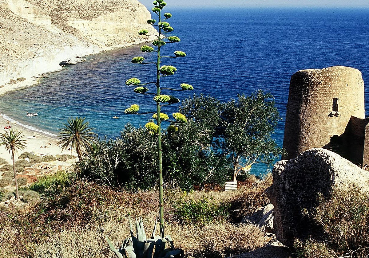 Vista de la Cala de San Pedro en el Cabo de Gata-Níjar