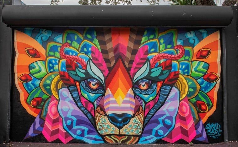 Imagen principal - Mural del artista mexicano Farid Rueda; obra de la americana Laure YS; trozo de un mural del español Dulk, todo en Wynwood Walls, Miami