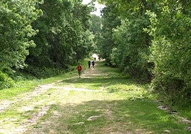 Alma de aguas termales