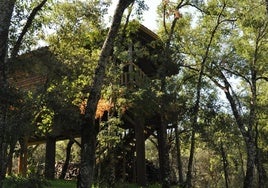 Casa nido