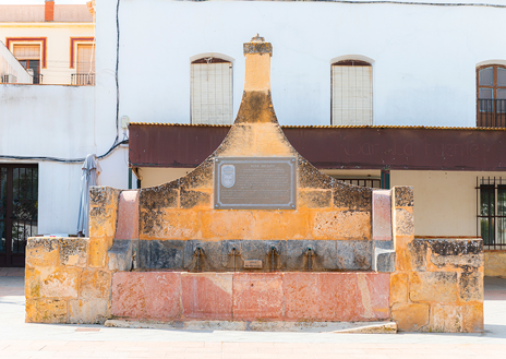 Imagen secundaria 1 - La fuente de piedra y algunos de los flamencos que se reparten por las calles de Fuente de Piedra